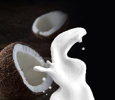 Kokosov mlko: bl ivotabudi