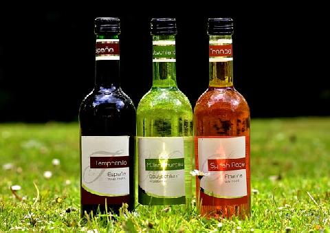 03414-tricolora_vino_StamgastaGurman.jpg