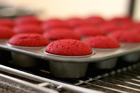 03983-red-velvet-cupcakes.jpg