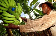 Vsetn je prvnm Fair Trade mstem v esk republice