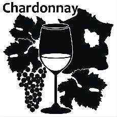 Josef Valihrach zskal ocenn za druh nejlep vno soute Chardonnay du Monde