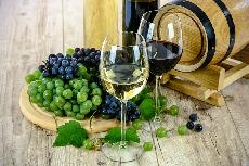 Moravt a et vinai uspli v benefin souti vn Finger Lakes International Wine Competition v USA