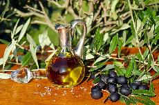 5 tip jak vybrat ten prav olivov olej