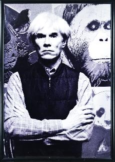 Andy Warhol Im OK: Zmek Holeov otevel mimodnou vstavu v mimodnm prostoru