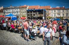 Jak byl leton Festival vna VOC Znojmo?