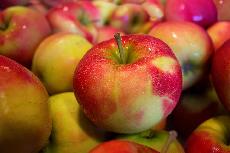 Potravinsk inspekce zjistila dal polsk jablka s pesticidy