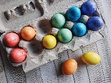 Ministr zemdlstv: Veterinrn kontroly ped Velikonocemi zeslily, zamuj se pedevm na vejce z dovozu