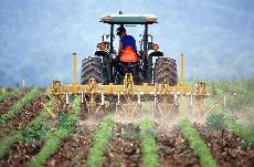 Za dva roky snit rezidua pesticid v potravinch rostlinnho pvodu o 10 %