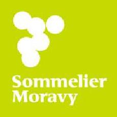 Souti Sommelier Moravy kralovali mui