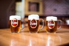Pivovar Zubr v loskm roce zvil prodej  epovanho piva