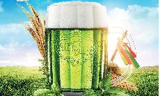 Velikonon specil: Starobrno zane epovat tradin zelen pivo po cel republice