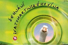 Žehnání Svatomartinského vína v Uherském Hradišti