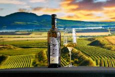 �ampionem Grand Prix Vinex 2026 je Veltl�n z betonov�ho vejce od Vina�stv� Vola��k